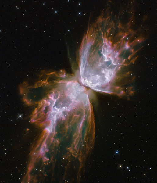 The Butterfly Nebula