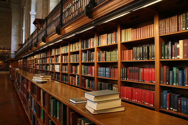 Library. Courtesy of Viva Vivanista.